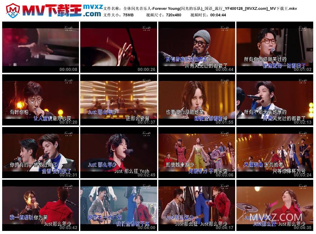 全体闪光音乐人-Forever Young(闪光的乐队)_国语_流行_YF400128